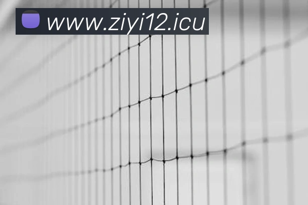 9游会官网品牌故事